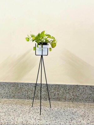 Plant Stand 4