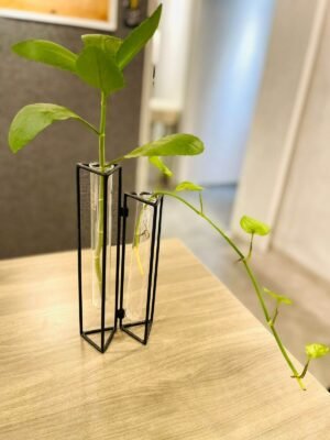 Table Decor