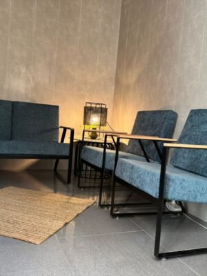 Sofa set( 2+1+1)